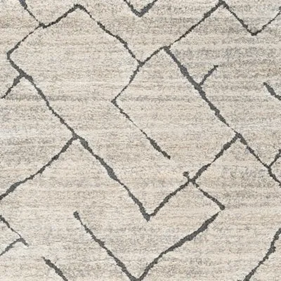 Ashbertly 5' x 7'6 Rug