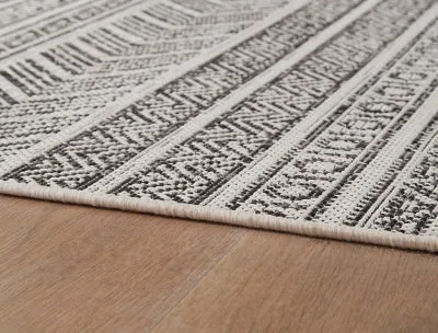 Brinoy 7'10 x 10'2 Rug