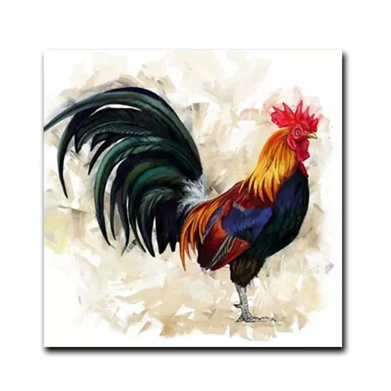 Colourful Cock Canvas Prints