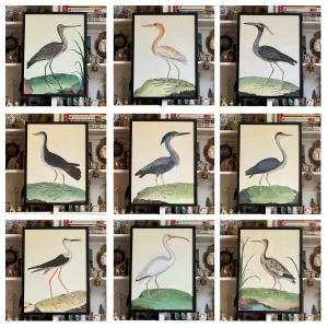 'Flock of Birds’ -per piece