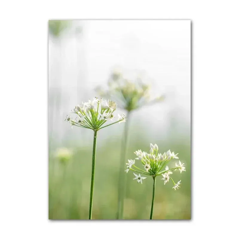 Home Canvas Prints
