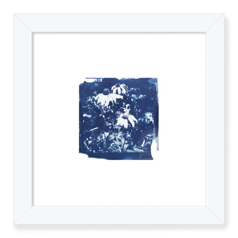 Summer Flowers 2020 Framed Print