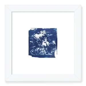Summer Flowers 2020 Framed Print
